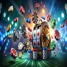 164bet